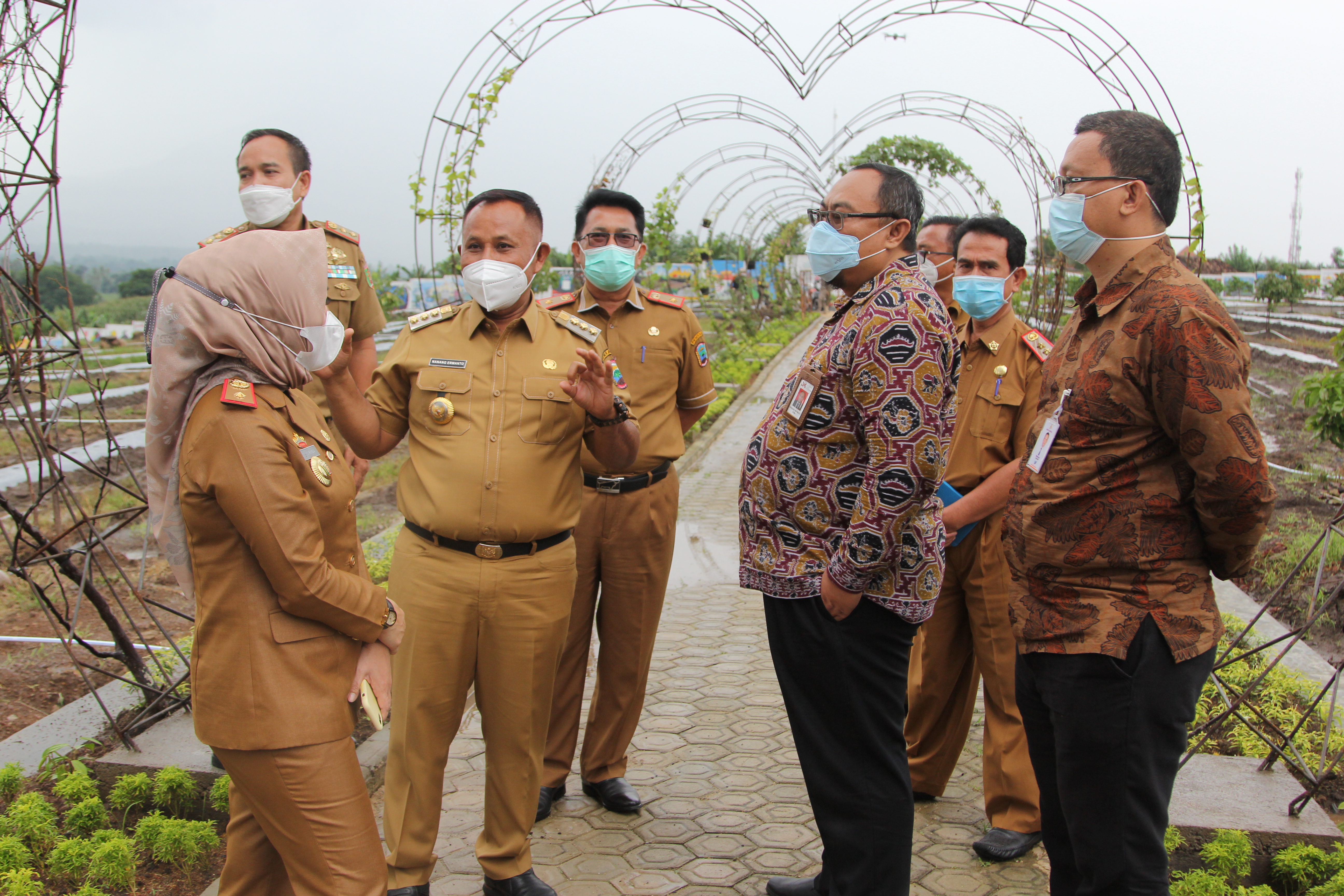 gambar