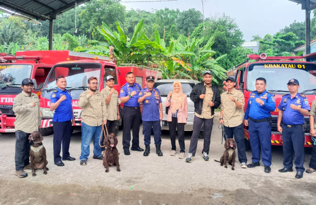 gambar