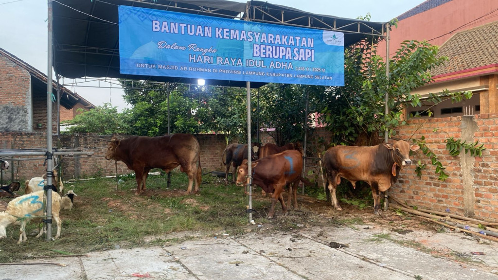 gambar