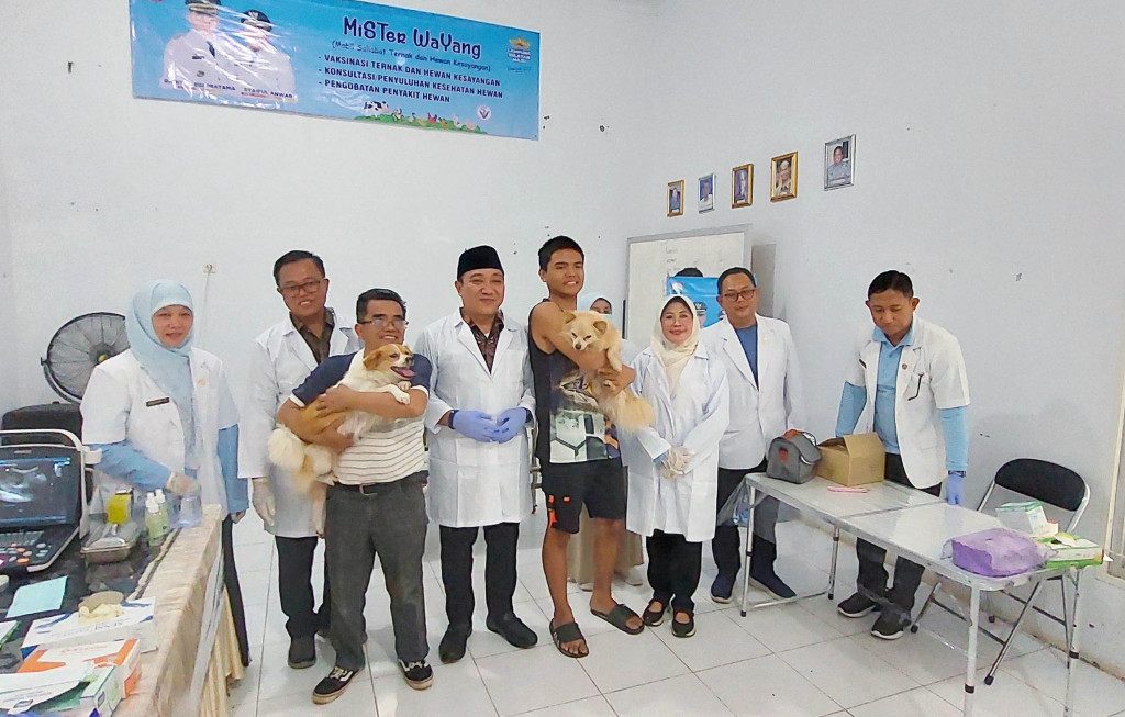 gambar