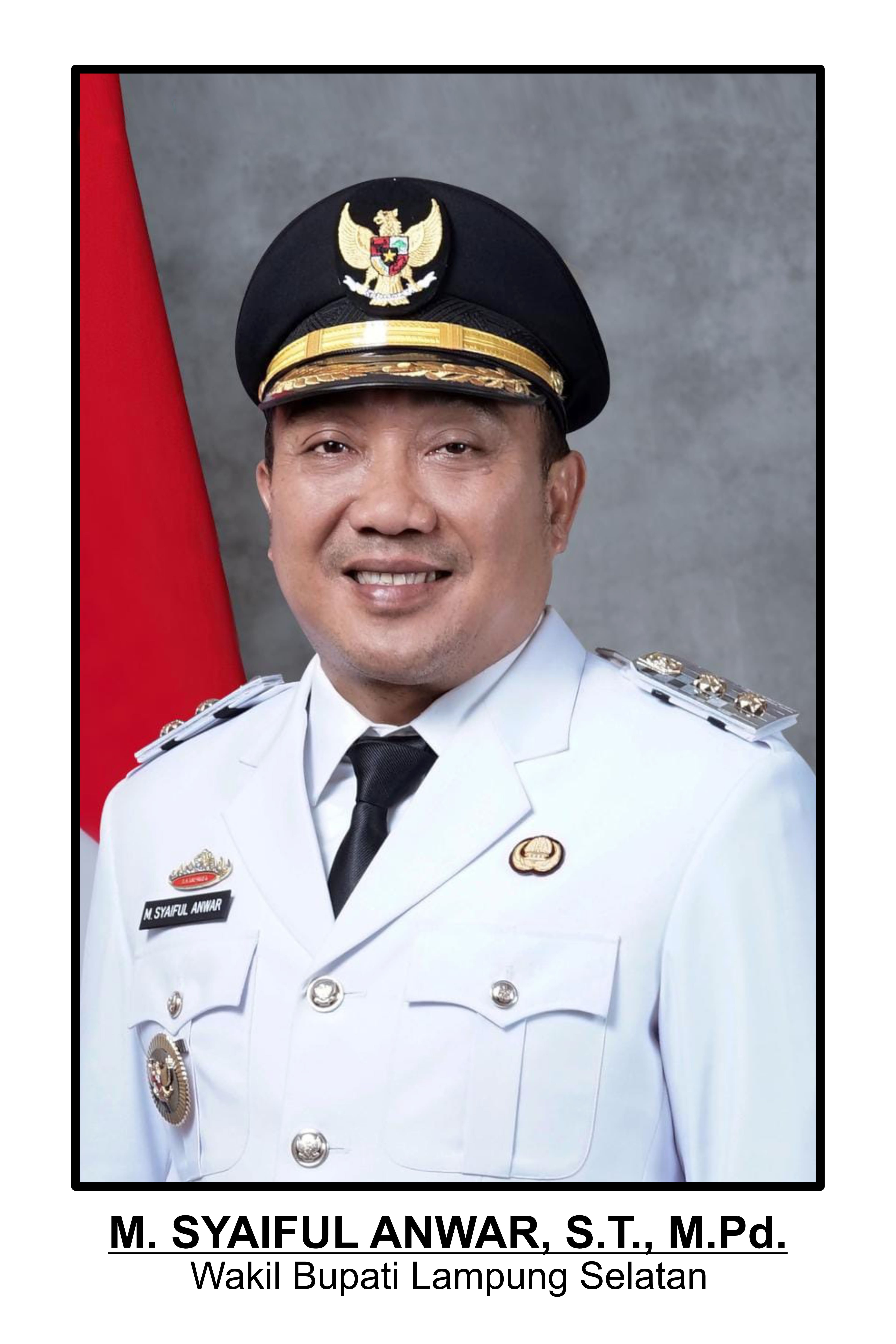 wakil bupati